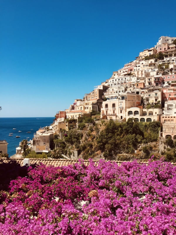 FLORES DE POSITANO