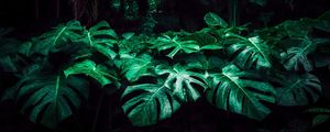 NATUREZA DELICIOSA 02
