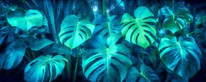 NATUREZA DELICIOSA 04