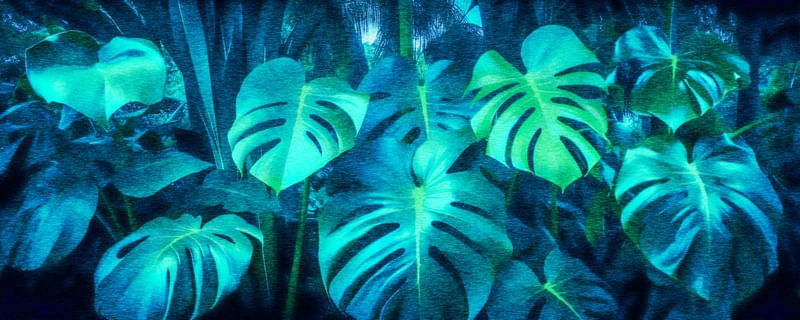NATUREZA DELICIOSA 04