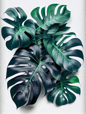 NATUREZA DELICIOSA 06