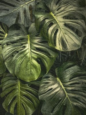 NATUREZA DELICIOSA 07