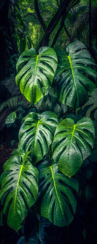 NATUREZA DELICIOSA 09