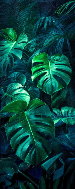 NATUREZA DELICIOSA 10