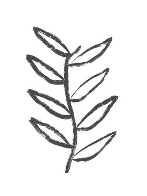 PLANTA ABSTRATA 4