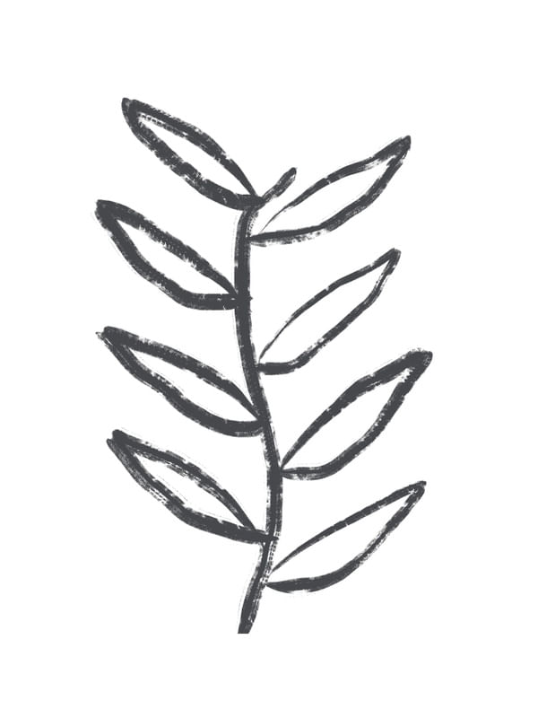 PLANTA ABSTRATA 4