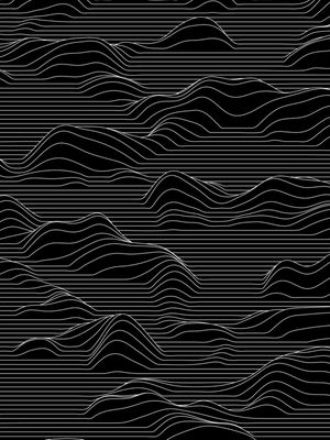 DUNAS DE LINHAS BLACK