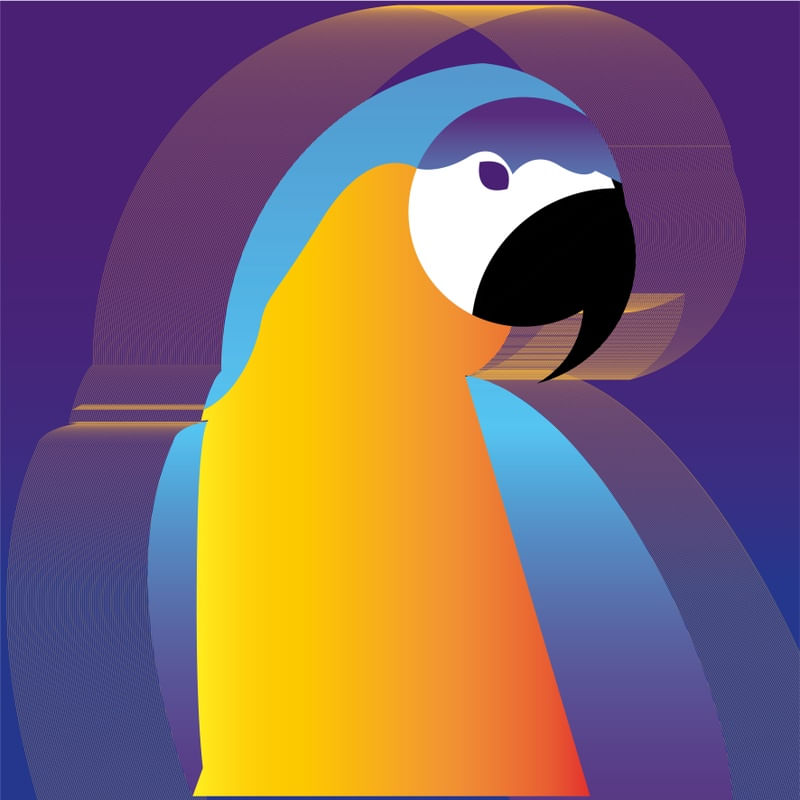 MINIMAL PARROT