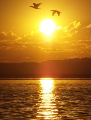 POR-DO-SOL NO ESTUÁRIO