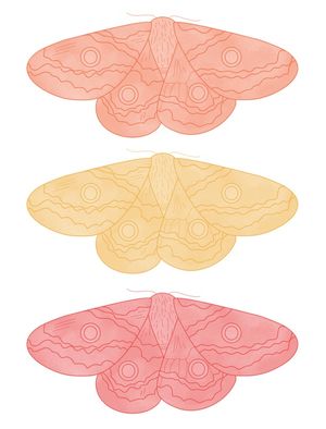 3 MARIPOSAS
