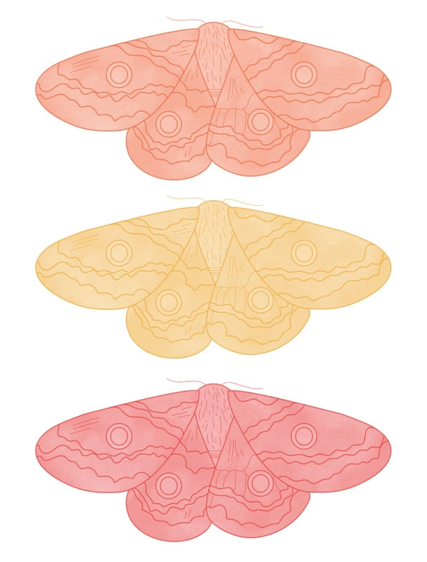 3 MARIPOSAS