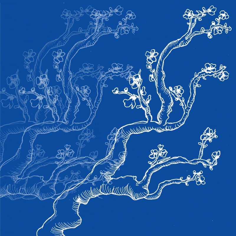 A CEREJEIRA AZUL