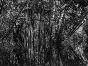 ALTER DO CHÃO 010