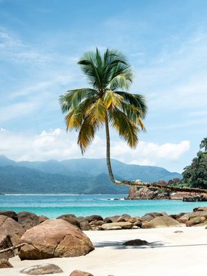 COQUEIRO DO AVENTUREIRO - ILHA GRANDE I