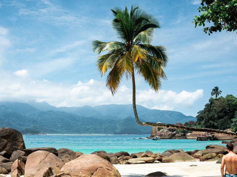 COQUEIRO DO AVENTUREIRO - ILHA GRANDE II