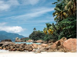 COQUEIRO DO AVENTUREIRO - ILHA GRANDE III