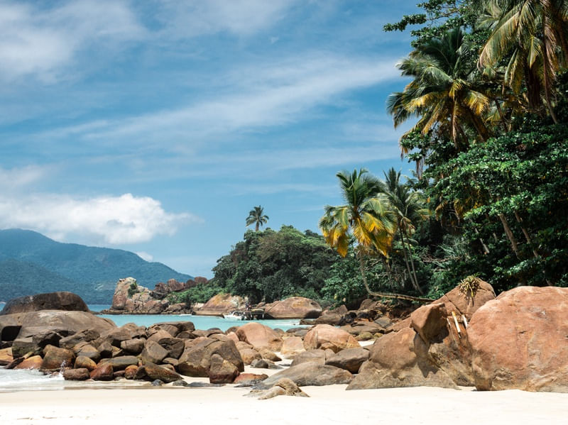 COQUEIRO DO AVENTUREIRO - ILHA GRANDE III