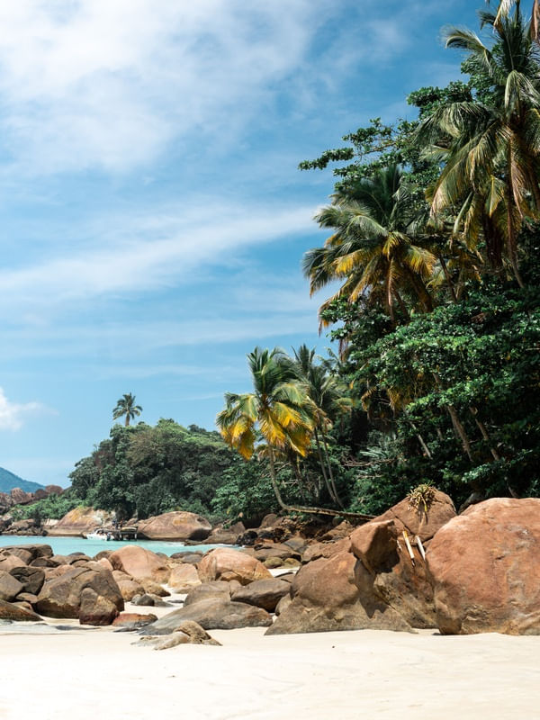 COQUEIRO DO AVENTUREIRO - ILHA GRANDE IV