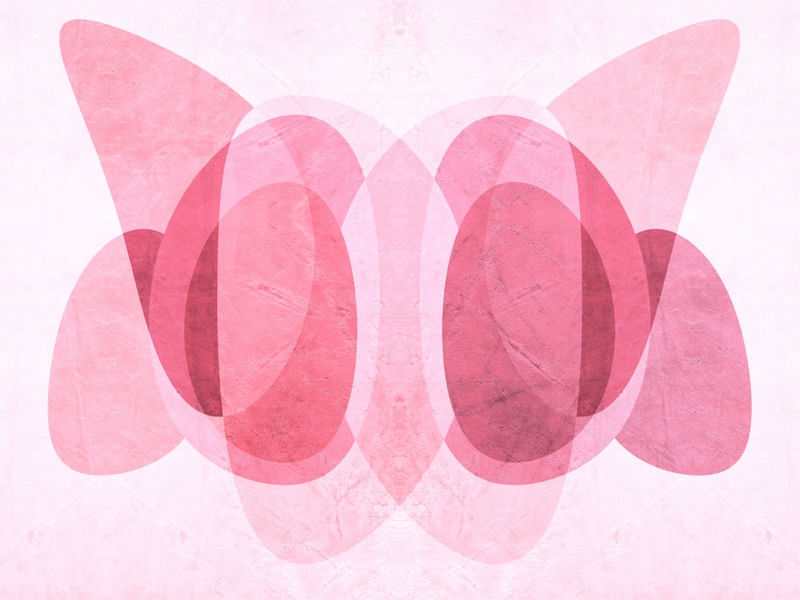 BORBOLETA VIVA MAGENTA HORIZONTAL