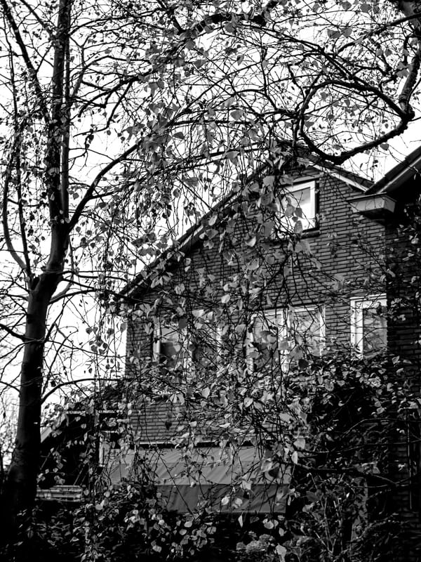 PAISAGEM EM BW 1