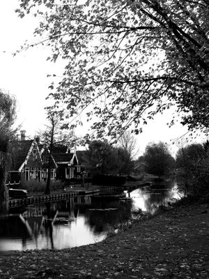 PAISAGENS EM BW 4