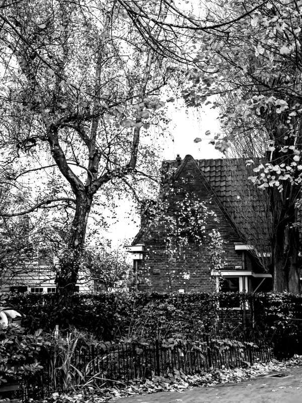 PAISAGEM EM BW 6
