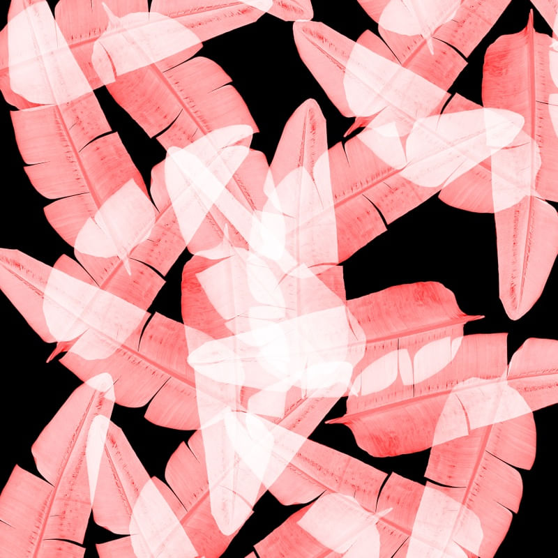 LEAF MULTIPLY XIV