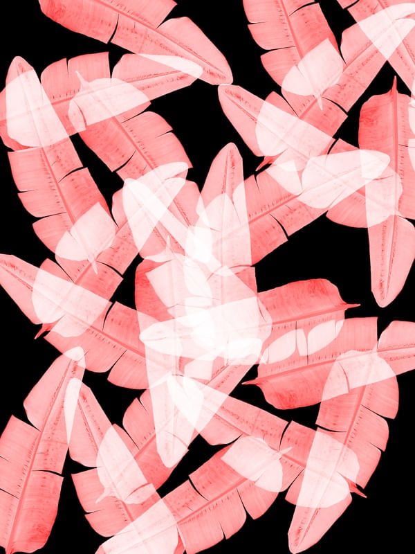 LEAF MULTIPLY XVI