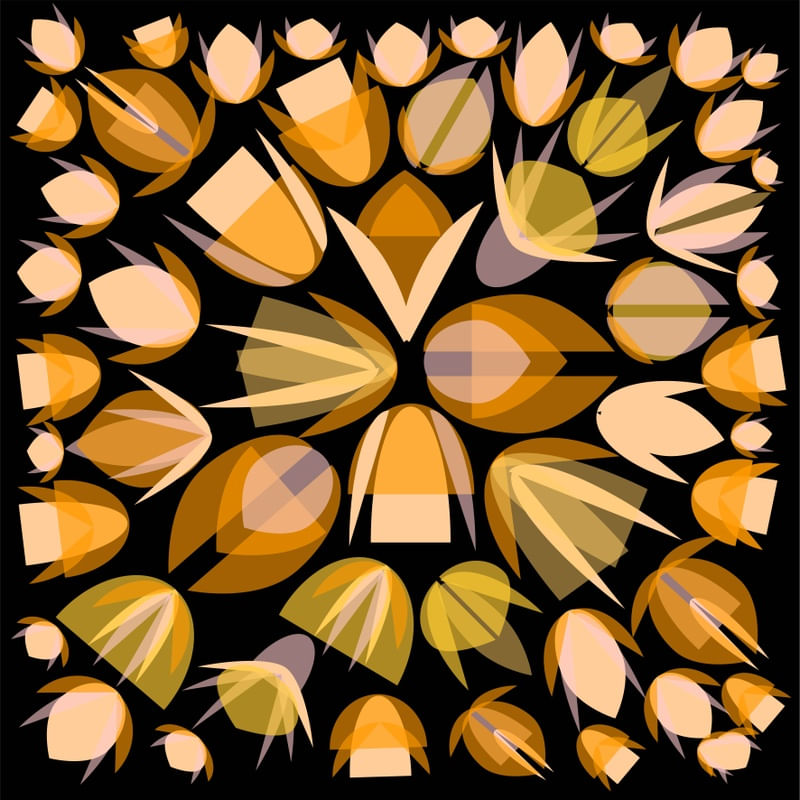 TULIPAS 05