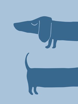 CACHORRO SALSICHA