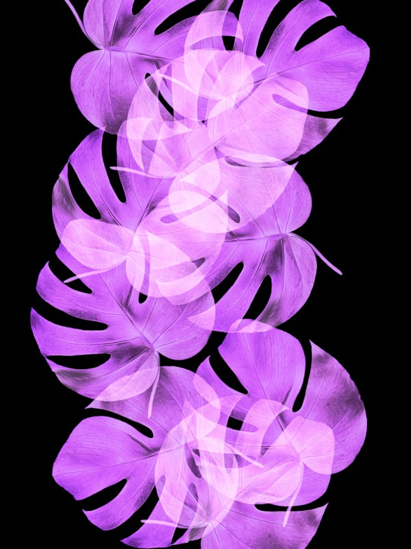 LEAF MULTIPLY XXI