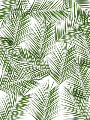 LEAF MULTIPLY XXVI