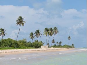 OASIS DE MILAGRES