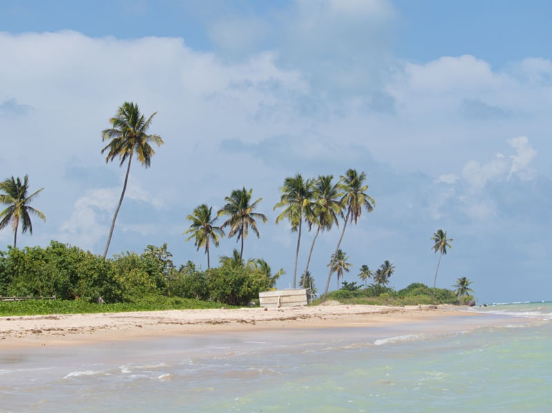 OASIS DE MILAGRES