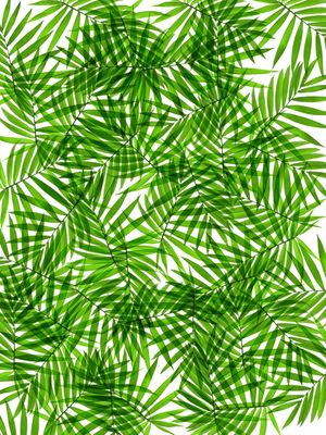 LEAF MULTIPLY XXVII