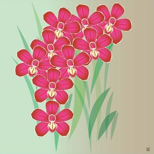 ORQUIDEAS PARA IANNA