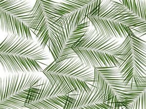 LEAF MULTIPLY 4