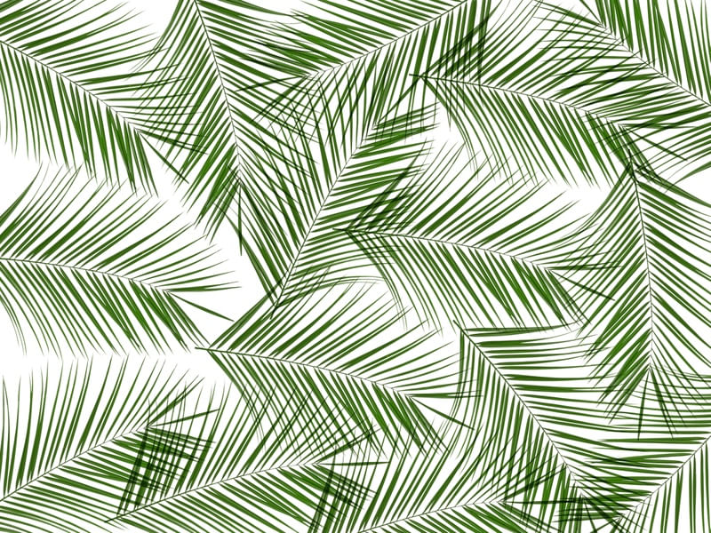 LEAF MULTIPLY 4
