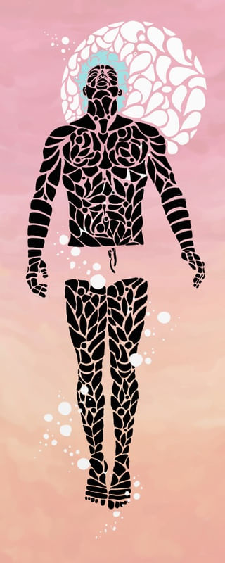 DESCONSTRUÇÃO 031 - FASHION 2