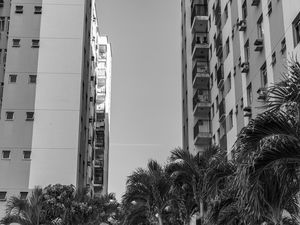 TORRES SOBRE ÁRVORES