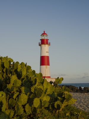 TARDE NO FAROL