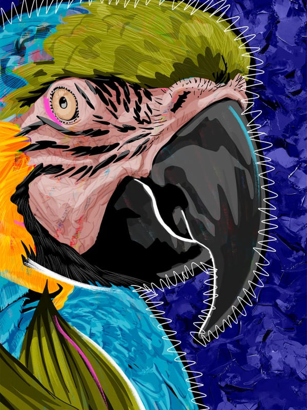 ARARAUNA