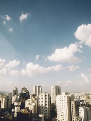 ARRANHA CÉU PAULISTA