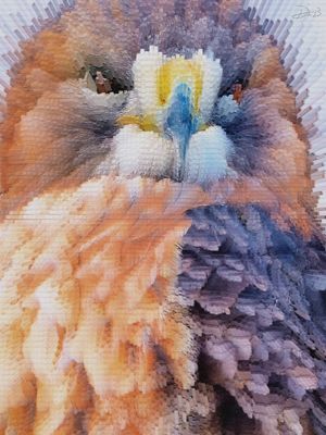 PIXEL FALCÃO