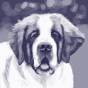 DOG 01