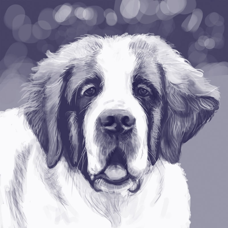 DOG 01
