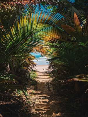 DA MATA AO MAR
