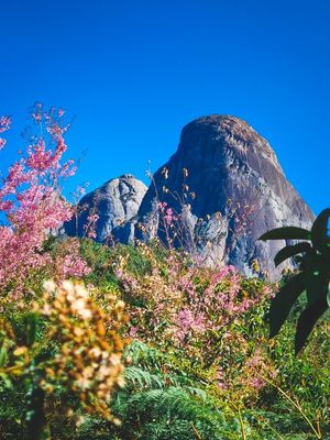 TRES PICOS RJ