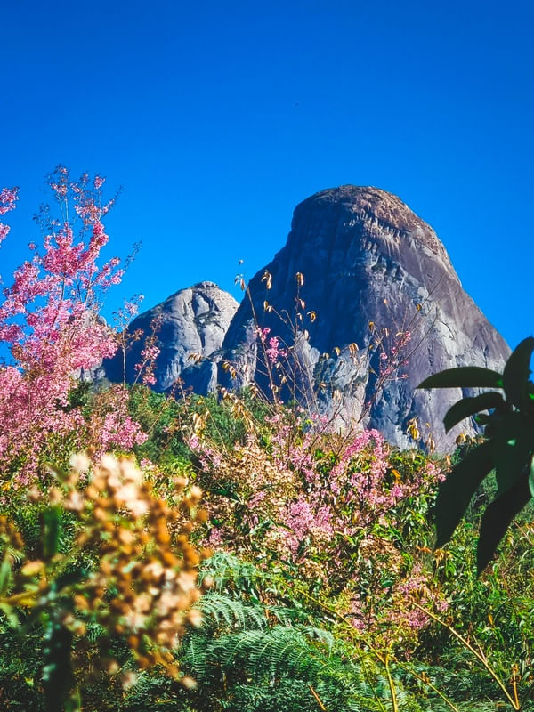 TRES PICOS RJ