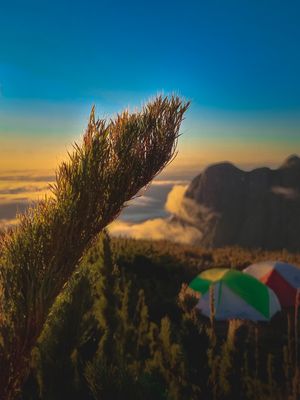 CAMPING PICO PARANA